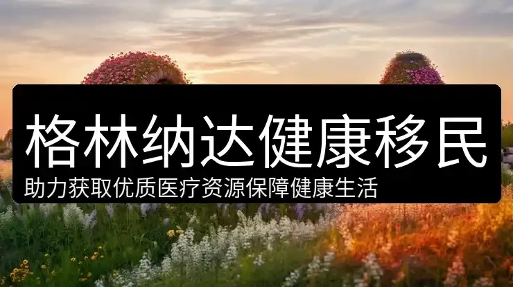 汇通国际身份资讯配图